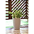 Vaso Thai M Bege Tramontina 92793110 - Imagem 5