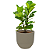 Vaso Laos 54Cm Bg 92795110 - Imagem 5