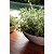 Vaso Tramontina Indi 17 Cm Em Polietileno Concreto 92601210 - Imagem 2