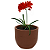 Vaso Tramontina Laos 28 Cm Em Polietileno Marrom 92766109 - Imagem 3