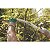 Serrote Para Poda 13 Profissional Tramontina 78376406 - Imagem 3