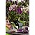 Mix Orquidea Premium Exp 1Kg Tramontina 91400021 - Imagem 2
