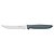 Faca Fruta Inox 5 F/Liso Plenus Cinza Tramontina 23431865 - Imagem 1