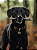 Skin Roll - Imagem 1