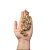 Carne de Carneiro 100g - Luv - Imagem 2