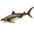 Figure Tubarão Branco Aidan The Cretoxyrhina 054 - Original PNSO - Imagem 2