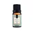 Essência Sintética Bamboo 10ml - Via Aroma - Imagem 1