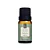 Essência Sintética Green Wood 10ml – Via Aroma - Imagem 1