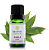 Óleo Essencial de Canela Folha 10ml - Terra Flor - Imagem 1