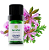Óleo Essencial de Gerânio Roseum 5ml - Terra Flor - Imagem 1