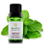 Óleo Essencial de Hortelã Pimenta 10ml - Terra Flor - Imagem 1