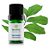 Óleo Essencial de Pau Rosa Orgânico 5ml - Terra Flor - Imagem 1