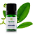 Óleo Essencial de Ravensara Aromática 5ml - Terra Flor - Imagem 1
