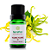 Óleo Essencial de Ylang Ylang III 10ml - Terra Flor - Imagem 1