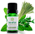 Sinergia Estudante 10ml - Terra Flor - Imagem 1
