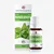 Óleo Essencial de Hortelã Pimenta 10ml - Phytoterápica - Imagem 1