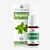 Óleo Essencial de Manjericão Verde 10ml - Phytoterápica - Imagem 1