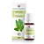 Óleo Essencial de Petitgrain Laranja 10ml - Phytoterápica - Imagem 1