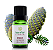 Óleo Essencial de Abeto Pinho da Sibéria 10ml - Terra Flor - Imagem 1