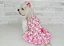 Vestido Gatinhos branco e cor de rosa OMD Oh My Dog - Imagem 4