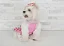 Vestido Gatinhos branco e cor de rosa OMD Oh My Dog - Imagem 5