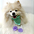 Laço Flor Pompom OMD OH MY DOG Lilás - Imagem 1