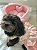 PEITORAL VESTIDO FLORAL KIARA OMD - OH MY DOG - Imagem 2