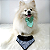 Bandana Pele Juca OMD OH MY DOG: Bandana Pet Jeans com Pele Azul Marinho - Imagem 1