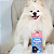 SNACK CROCANTE MOELINHA DESIDRATADA Nino's Pet - Imagem 2