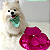 Vestido Para Pet - Vestido Cetim Rosa Pink - Imagem 1