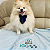 Manta Pet Macia IGG's Friends Personalizada com Bordado com o nome do pet - Imagem 2