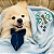 Manta Pet Macia IGG's Friends Personalizada com Bordado com o nome do pet - Imagem 1