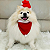 Gorro Papai Noel para Pet - Imagem 1