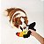 Fofos Tough Crocante Tucano – Brinquedo Resistente para Cães I Petta - Imagem 2