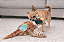 Brinquedo para Cachorro Faisão de Pelúcia com Apito Fofos Reino Selvagem Grande - Imagem 2