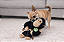 Brinquedo Gorila para Cachorro com Apito | Reino Selvagem - Imagem 3