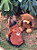 Casaco Urso para Cachorro em Fleece com Passa Guia - Mascote Pet - Imagem 3