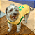 Camiseta Copa Brasil Nº 10 para Cachorro com Passa Guia - Mascote Pet - Imagem 4