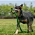 Brinquedo Interativo com Corda Animais Esticadinhos Tartaruga para Cães Pequenos - QMonster - Imagem 4