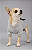 Moletom Rex para Cães Pequenos | Conforto, Estilo e Diversão - Imagem 2
