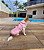 Casaco Alegria Rosa para Cães Pequenos | Fleece Macio e Muito Charme 🩷🦊 - Imagem 2