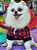 Casaco Charles para Cães Pequenos | Xadrez, Quentinho e Cheio de Estilo ❤️🖤 - Imagem 4