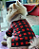 Casaco Charles para Cães Pequenos | Xadrez, Quentinho e Cheio de Estilo ❤️🖤 - Imagem 3