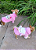 Casaco Ovelha para Cães Pequenos | Fleece Macio, Quentinho e Muito Fofo 🐑🩷 - Imagem 3