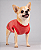 Suéter Cotton Vermelho para Cães Pequenos | Conforto, Estilo e Praticidade ❤️🐶 - Imagem 2