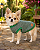 Suéter Cotton Verde para Cães Pequenos | Conforto, Estilo e Praticidade 💚🐶 - Imagem 2
