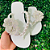 Chinelo Havaianas Decorado Top - Flor de Neve - Imagem 1