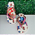 Chinelo Havaianas Decorado Top - Lilo & Stitch Friends - Imagem 5