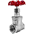 Válvula Gaveta 1" BSP Aço Inox 304 200PSI - Imagem 1