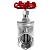 Válvula Gaveta 2" BSP Aço Inox 304 200PSI - Imagem 3
